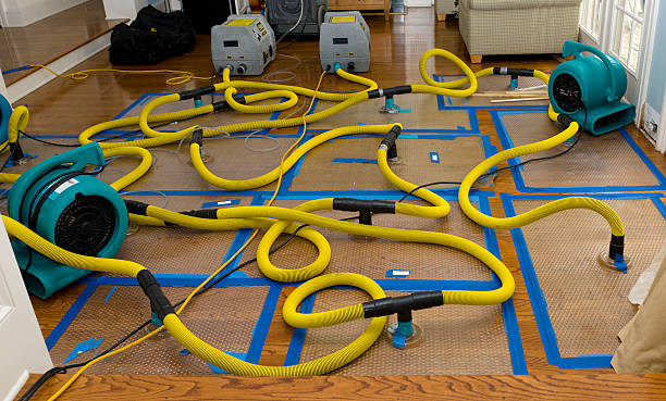 Professional Burst Pipe Water Damage technician working in Buckfield, ME